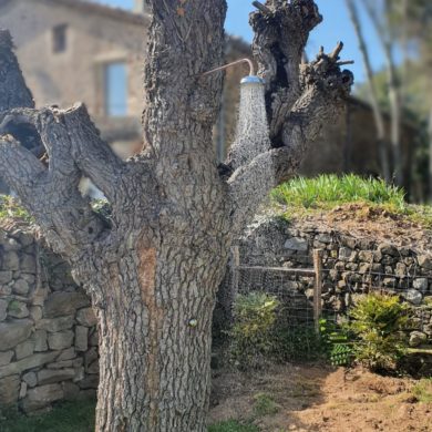 BGPC GARD RENOVATION MAS PLOMBERIE