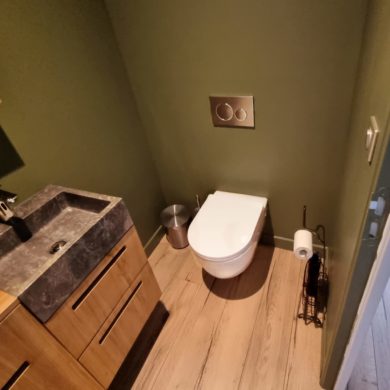 BG PLOMBERIE ET CHAUFFAGE WC TOILETTE SUSPENDU AU SOL